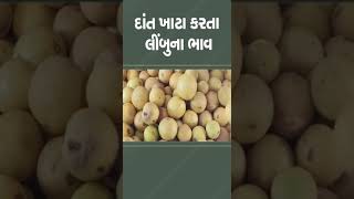 દાંત ખાટા કરતા લીંબુના ભાવ | #surendranagar #lemonprice #gujarat #tv9gujarati #inflation