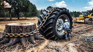 55 Amazing Chainsaw Machines Working Fastest | Monster Stump Removal Excavator #12