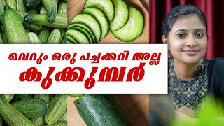 വെറും ഒരു പച്ചക്കറി അല്ല കുക്കുമ്പർ 👉 Nutritional benefits of Cucumber