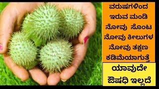 ಮಂಡಿ ಸೊಂಟ ಕೈ ಕಾಲು ಹಿಮ್ಮಡಿ ಕೀಲುಗಳ ನೋವು ನರಗಳಲ್ಲಿ ಸೆಳೆತ ತಕ್ಷಣ ಕಡಿಮೆಯಾಗುತ್ತೆRelief knee pain Back pain