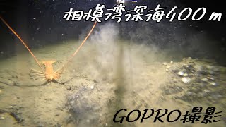 相模湾深海400ｍの海底は結構賑やかだった!?【gopro深海撮影】