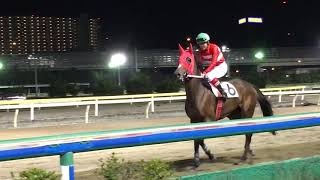 2018.10.2 船橋🐎9R   インコンパラブル＆森泰斗騎手、ホールドザボール＆西村栄喜騎手 本馬場入場