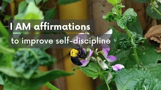 I AM affirmations to improve self-discipline | Soulveda