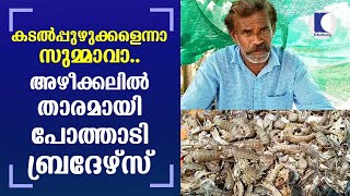 Pothadi Brothers are famous in Azheekal beach for selling sea worms | Kollam