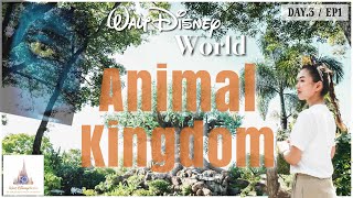 【Disney Vlog】アニマルキングダム：EP1｜日本にはないアバターの世界🍃WDWフロリダディズニー4K