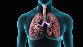 Spirometry | Test for Lung Function | Nucleus Health