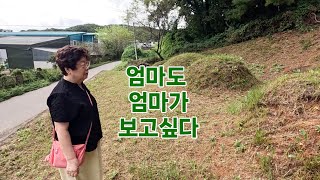 엄마도 엄마가 보고싶다. 240914 엄마의 외출