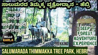 Salumarada Thimmakka Tree Park, |Hebri| ಸಾಲುಮರ ತಿಮ್ಮಕ್ಕ ಟ್ರೀ ಪಾರ್ಕ್ |ಕಾಡಿನ ನಡುವೆ ರೋಮಾಂಚಕ ಪಯಣ.