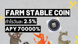 เก็บ Stable Coin ยังไงในช่วงตลาดหมีให้ได้ 2 เปอเซ็นต์ต่อวัน/ Charge Defi