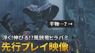 『モンハンワイルズ』新モンスター「ヒラバミ」の寝姿が独特すぎる…空中をフワフワ舞い、巣では天井からビヨーンとぶら下がってめちゃくちゃ伸びる。伸びすぎ。製品版の先行プレイ映像をお届け