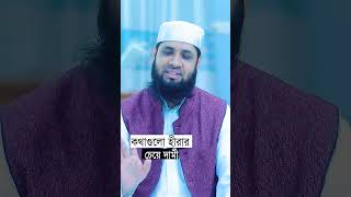 কথাগুলো হীরার চেয়ে দামী। #monirul_islam_mazumder  #islaminbangla #islamicpreacher