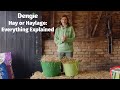 Hay or Haylage: Everything Explained