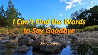 I CAN'T FIND THE WORDS TO SAY GOODBYE - (4k HDR Karaoke Version) - in the style