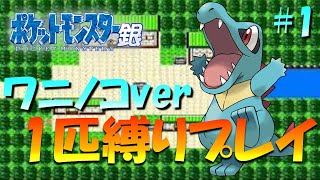 【ポケモン金銀】ポケモン1匹縛りプレイ!! ワニノコきみに決めた！part 1【ゲーム実況】【縛りプレイ】