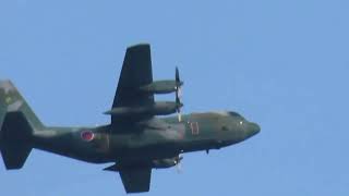 【3機】航空自衛隊Lockheed C-130 Hercules（75-1077 95-1082 第1輸送航空隊 第401飛行隊 ※小牧基地）家のそばを通過②2024年2月8日（木）