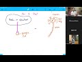 L1 Autonomic nervous system part 1 pre and post ganglionic fiber