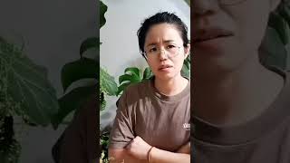 媳妇和丈母娘翻脸了，扬言以后再也不回娘家，老公得