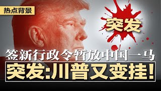 突发：川普又变挂！新行政令暂放中国一马；美国24众议员推决议案，呼吁废除一中政策习近平宁愿TikTok死，也不批准它出售；美中2025决一死战；李老师获提名诺贝尔和平奖 | #热点背景20250208