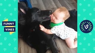 TRY NOT TO LAUGH - Funniest Animals & Cute Pets Compilation | Funny Vines July 2018