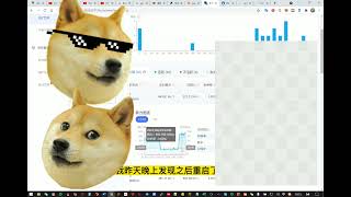 狗狗币矿机挖矿  办法汇总及详细讲解 自己测试总结 干货分享 Dogecoin Miner