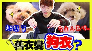 【🐶必學DIY】只需數分鐘「舊衣變狗衣」？👗😎你想像不到的效果…(中字)