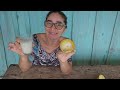 suco de uma fruta nativa que fruta serÁ essa @elizeusilvatv