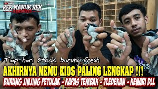 AKHIRNYA NEMU KIOS PALING LENGKAP !!! BURUNG JINJING PETULAK - KAPAS TEMBAK - TLEDEKAN - KENARI DLL