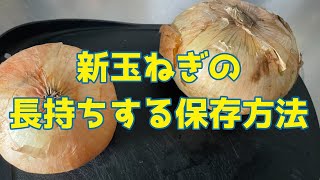 新玉ねぎの長持ちする保存法