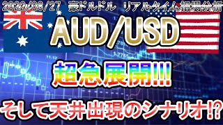 【超急展開！】そして天井出現!?《FX・相場分析》