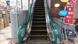 MEGAドン・キホーテ綾瀬店 1F～2F 昇りのエスカレーター【Escalator】UNY