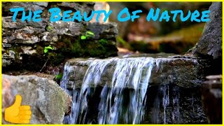 The Attractive beauty of Nature // The magnificent beauty of nature