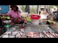 onlongvil market in battambang ផ្សារអន្លង់វិលក្នុងខេត្តបាត់ដំបង