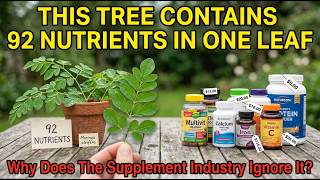 This Tree Contains 92 Nutrients In One Leaf — Why Does The Supplement Industry Ignore It?