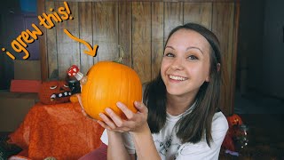 How To Make a Pumpkin Bong! 2022