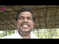 വേനൽക്കാലത്ത് കോഴികളെ അട വയ്ക്കാമോ incubation method for hen kozhi valarthal tips poultry tips