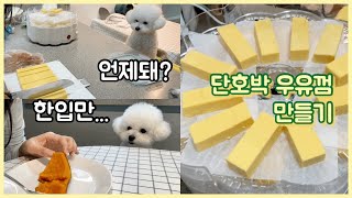 강아지 우유껌 만들기 | 간식 빨리 달라는 강아지 | 건조기는 내가 지킨다 | 건조간식 | 쉬움주의