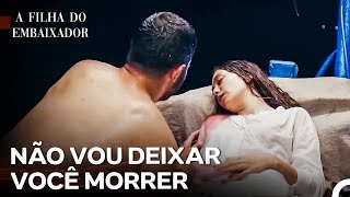 Não Me Deixe Ir Embora - A Filha do Embaixador