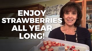 How to Dehydrate Strawberries the 2019 Way!