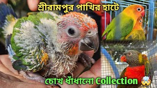 Serampore Pet Market 💥|🔥 Recent Bird Price Update | Premium Quality Red Sun Conure, Love Bird Etc.🤯