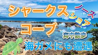 【ハワイの海】ギョギョギョ‼️サカナくんもびっくり！シャークスコーブで海中散歩！