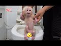 Adorable😍 Monkey David learns how to use the toilet