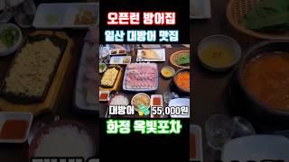 일산 맛집 대방어 특수부위 방어 내장구이 서비스 주는 횟집 대방어회 성지