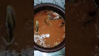 #shorts #ytshorts #djvlogs  #djabhiruchulu  #fishcurry  #parameencurry #nonvegreciepe #djdillu #dj