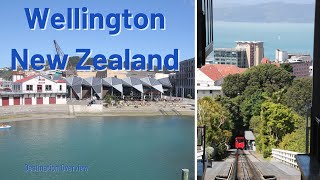 12 things to do in Wellington New Zealand