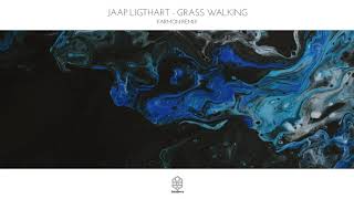 Jaap Ligthart - Grass Walking (Karmon Remix)