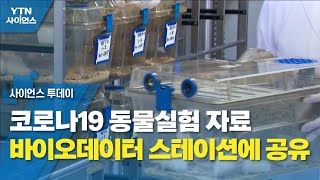 코로나19 동물실험 자료 바이오데이터 스테이션에 공유 / YTN 사이언스