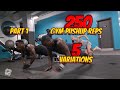 250 Pushup Reps 5 Variations | First Day In The Gym