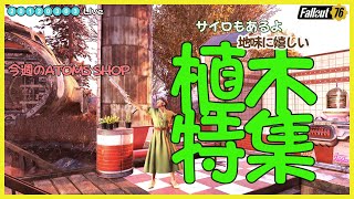 [Fallout76]　今週のATOMS SHOP植木特集? 生配信小1時間ほどやってます(⌒0⌒)／~~