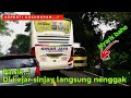 SEPERTI KESURUPAN‼️Panik di kejar bus sinar jaya, doa ibu langsung nenggak