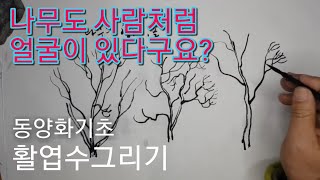 [추니박그림배우기]활엽수 나무들의 형태를 구별해 표현하는 방법